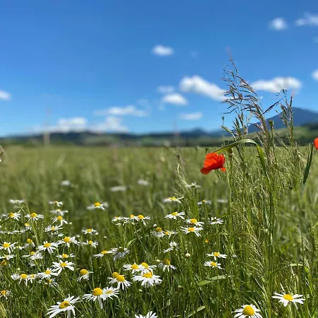 Pensjonat U Komu Zaskov, Okres Dolny Kubin Zaskov