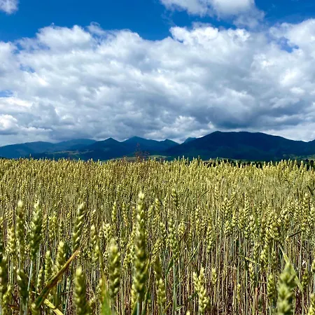 Pensjonat U Komu Zaskov, Okres Dolny Kubin