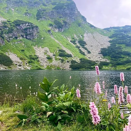 بيت ضيافة U Komu Zaskov, Okres Dolny Kubin 3*