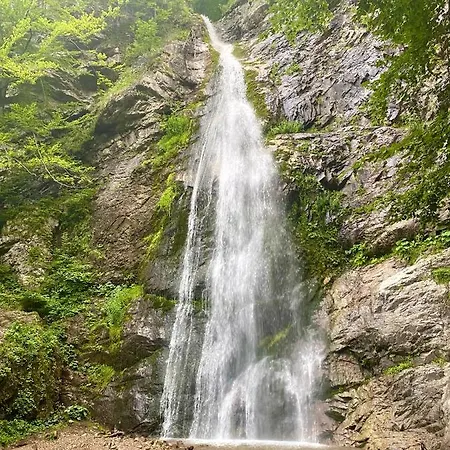 بيت ضيافة U Komu Zaskov, Okres Dolny Kubin 3*