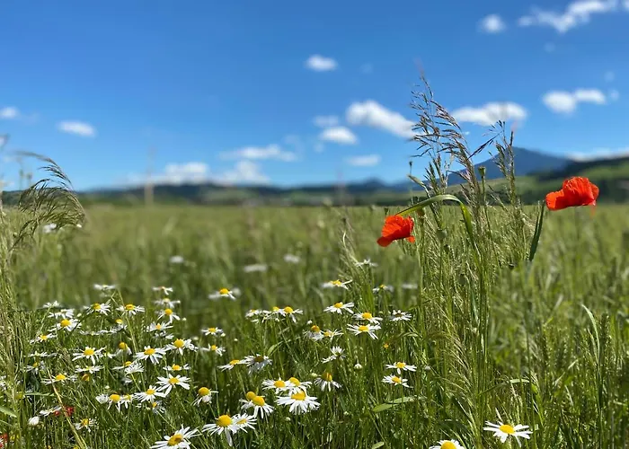 Penzion U Komu Zaskov, Okres Dolny Kubin Zaskov