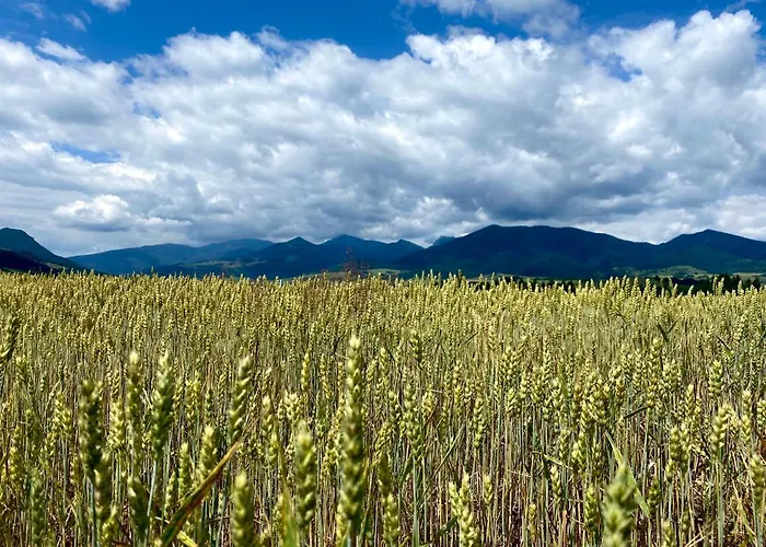 Penzion U Komu Zaskov, Okres Dolny Kubin