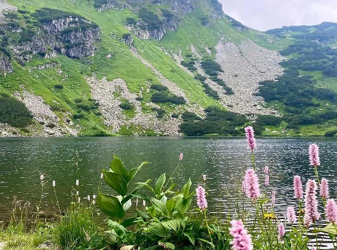 Penzion U Komu Zaskov, Okres Dolny Kubin 3*